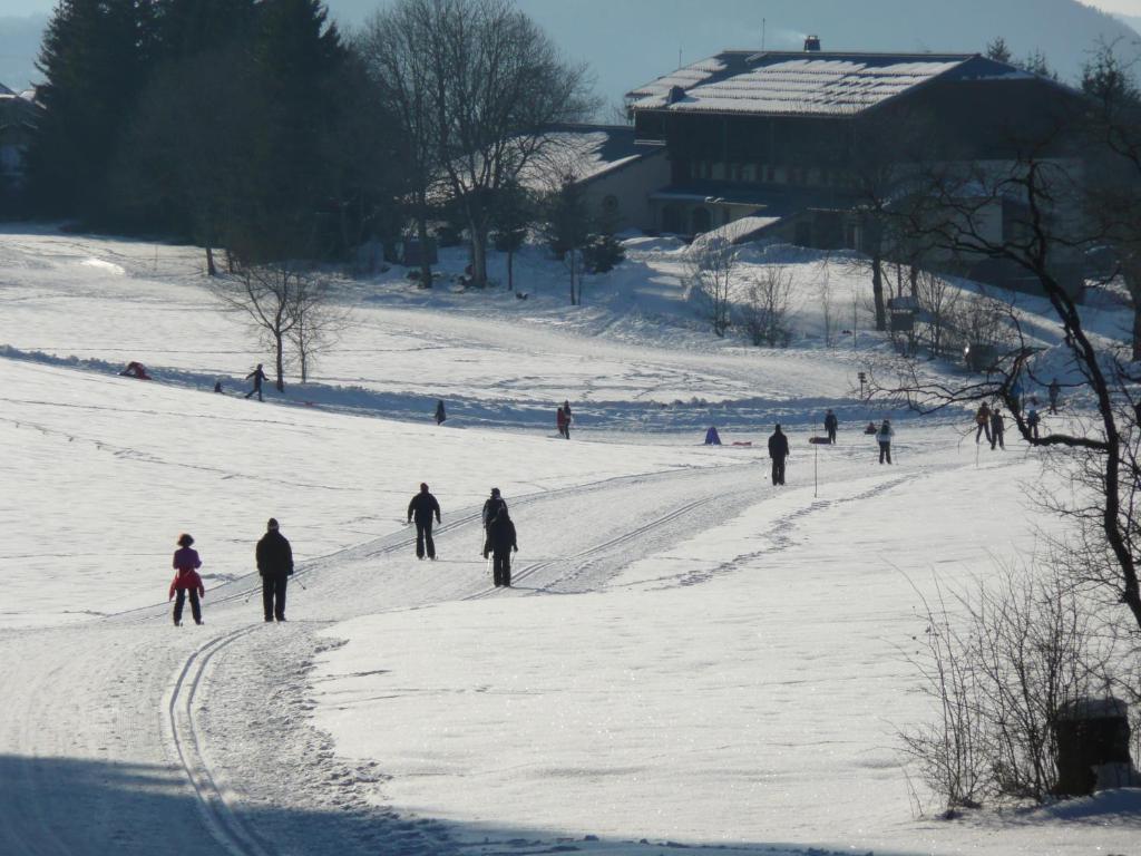 Hotel Le Grand Chalet Foncine-le-Haut Eksteriør bilde