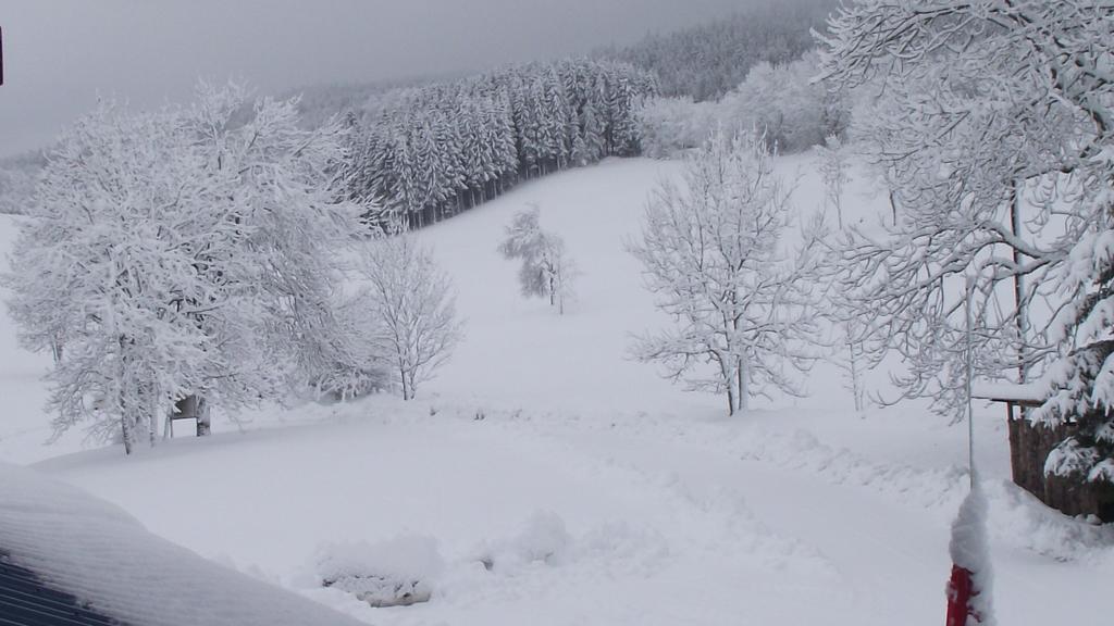Hotel Le Grand Chalet Foncine-le-Haut Eksteriør bilde