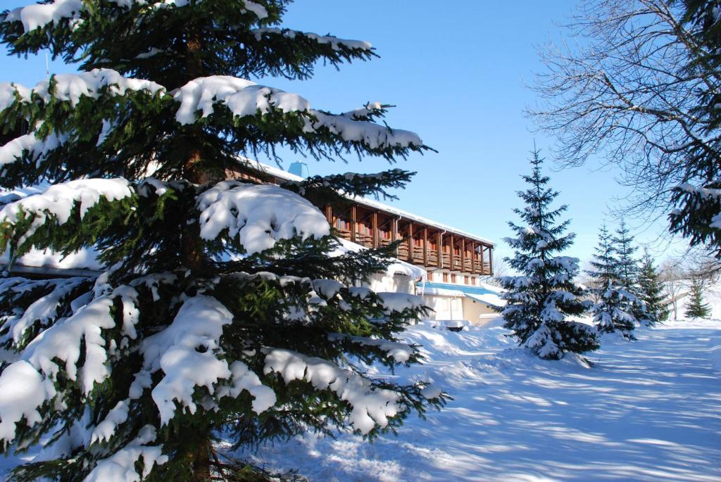 Hotel Le Grand Chalet Foncine-le-Haut Eksteriør bilde